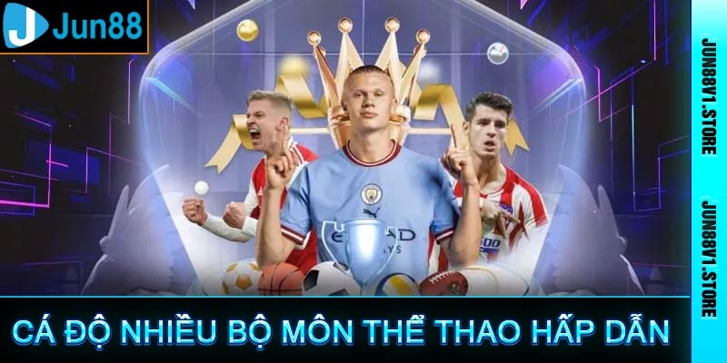 Cá độ nhiều bộ môn thể thao hấp dẫn